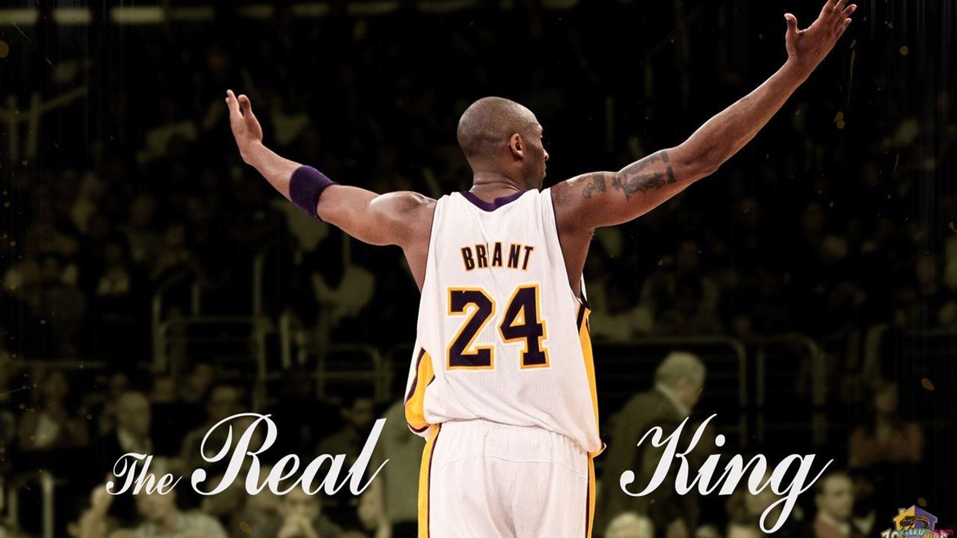 “青春追梦”青少年篮球夏令营在哈尔滨火热开班，打造未来运动人才